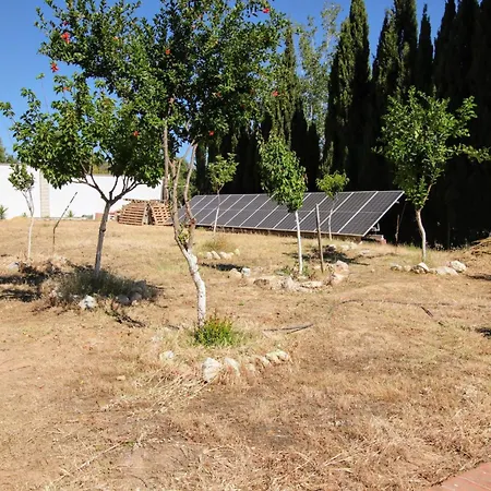 Villa Tess Olsson
